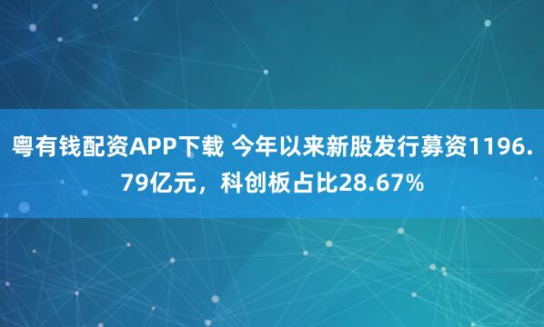 粤有钱配资APP下载 今年以来新股发行募资1196.79亿元,科创板占比28.67%